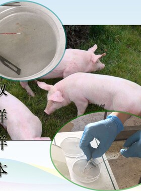动物活检针活检医漫锋利