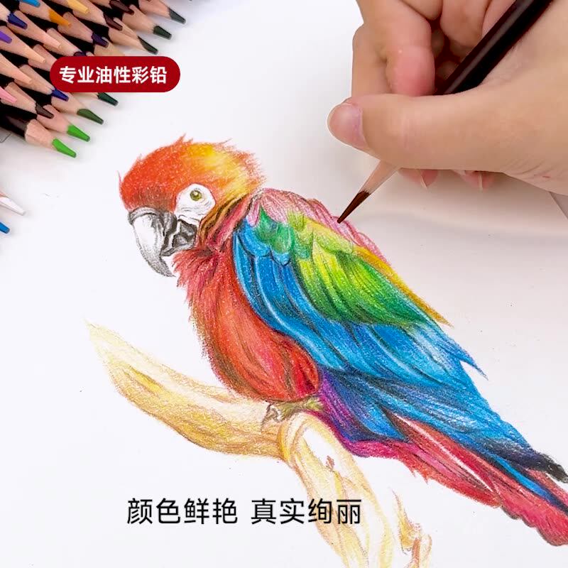 touchmark水溶性彩铅美术生专用油性彩色颜色铅笔小学生绘画彩千