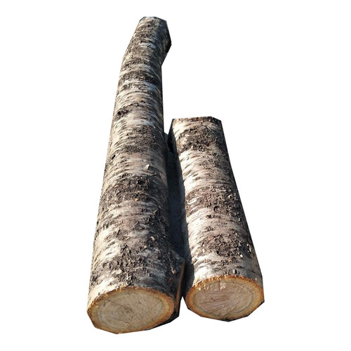 野生东南桃树枝 粗桃木簪子新鲜原木佛珠发簪雕刻料桃木剑diy木料 - 图3