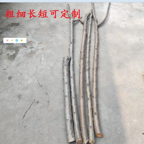 野生东南桃树枝 粗桃木簪子新鲜原木佛珠发簪雕刻料桃木剑diy木料 - 图1