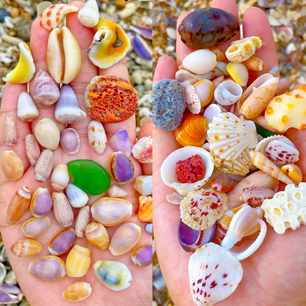 海螺盲袋小学生奖励礼品朋友奖品创意幼儿园儿童生日全班奖励礼物