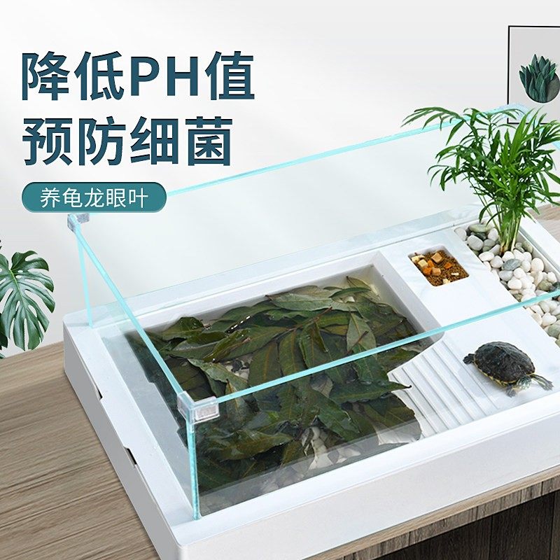 yee乌龟鱼缸养龟龙眼叶懒人叶降酸斗鱼缸ph值调节龟缸躲避免煮,淘宝优惠券,粉丝福利购,淘宝优惠卷