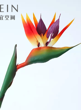 天堂鸟仿真花绿植造景塑料花假花鹤望兰餐桌插花摆设客厅装饰花艺