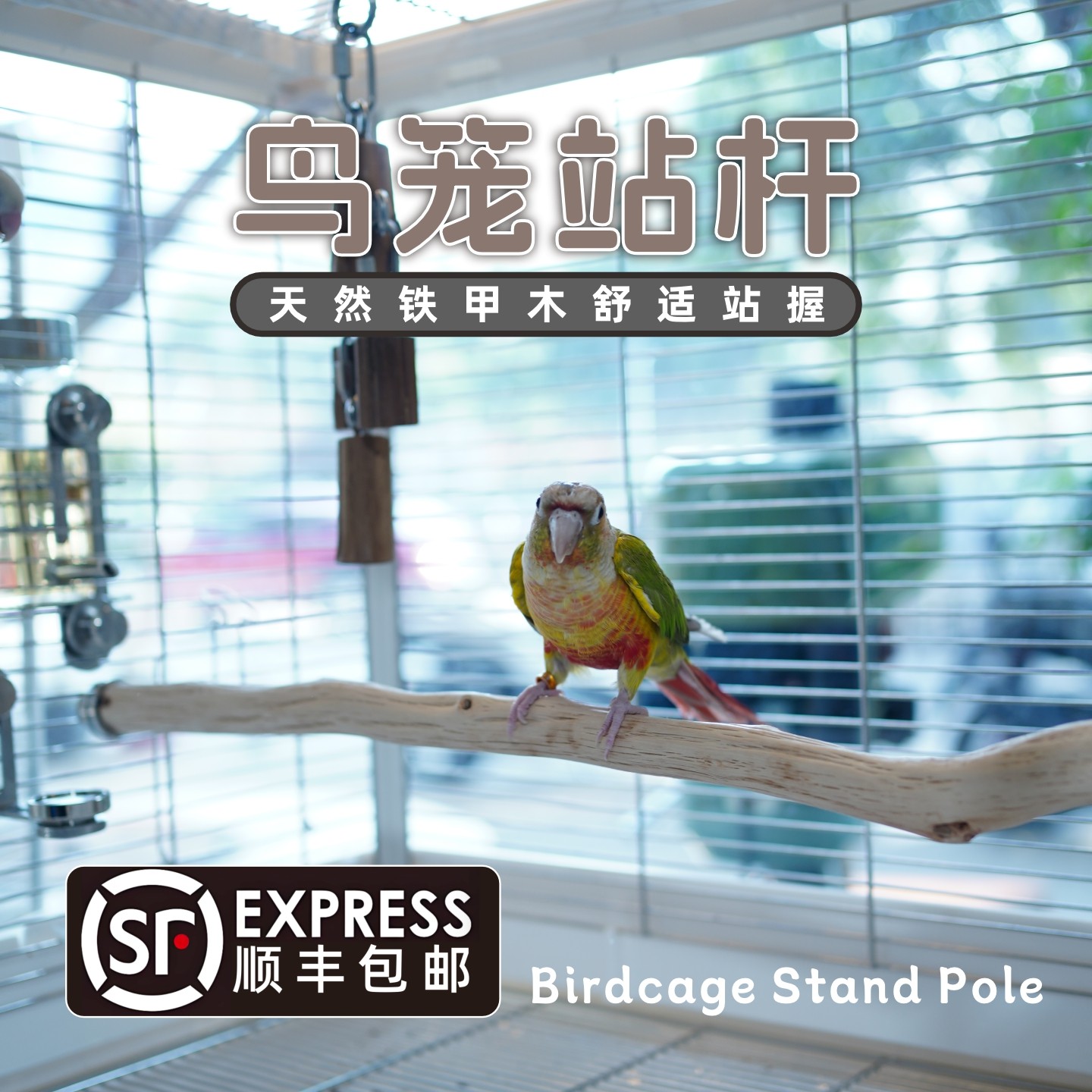 鹦鹉站杆天然铁甲木达洋鸟笼B4001B4002B5001B6045B6047实木站棍,淘宝优惠券,粉丝福利购,淘宝优惠卷