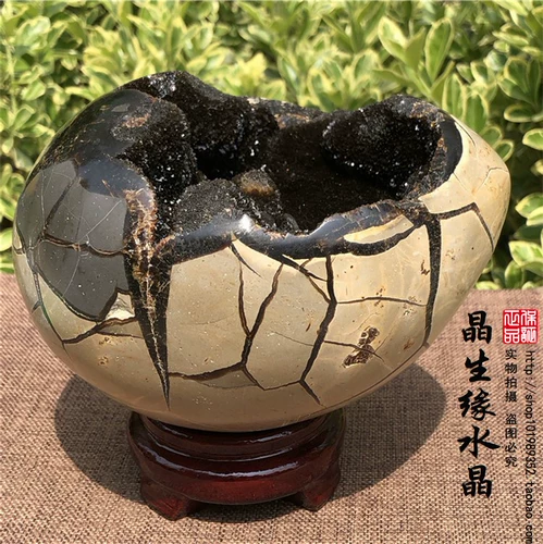 Природная черепаха задний камень, крэкстоун, долголетие, схема долговечности черепахи, удача, духовный камень Странный камень