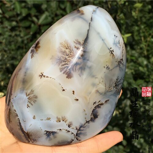 天然马达加斯加海洋玉髓水草玛瑙原石把玩石收藏奇石实物图 - 图0