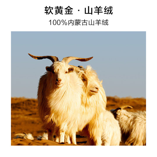 Теплый кашемировый свитер MrBu с полуводолазкой для мужчин