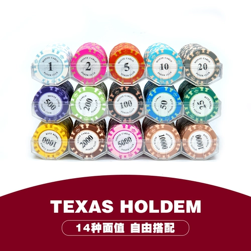 Texas Hold'em Professional Chip Coin Casino Home