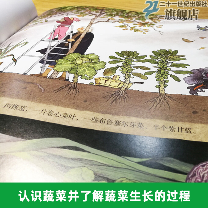 它们是怎么长出来的精装硬壳蒲蒲兰绘本馆蔬菜种植物生长过程认识自然科普读物季节图画故事书3-6岁他们 21