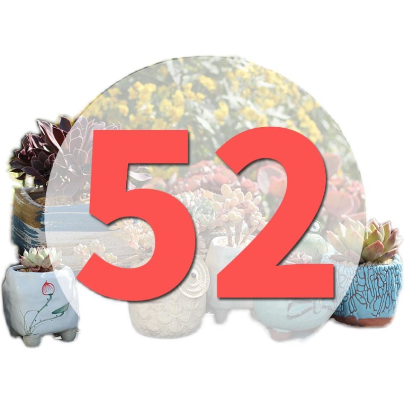 直播专用链52号,淘宝优惠券,粉丝福利购,淘宝优惠卷