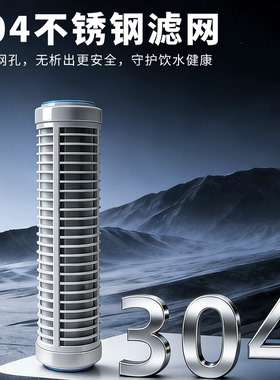 304钢网滤芯10寸20寸泥沙过滤器