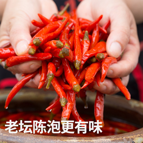 古蜀味道四川泡红小米椒新繁泡菜老坛酸辣剁椒泡椒泡朝天椒350g - 图2