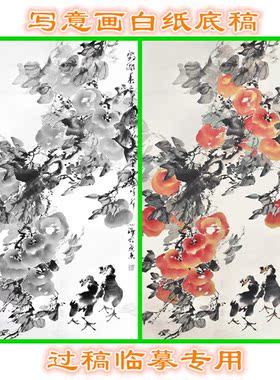 柿子瓜果写意画白描国画花鸟底稿