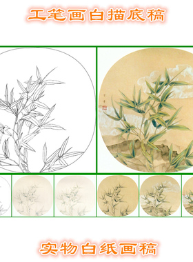 工笔画白描底稿圆形扇面花鸟
