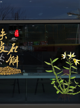 铁皮石斛枫斗滋补中药养生店铺创意橱窗静电玻璃门贴纸花无胶美化