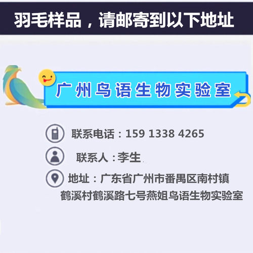 鹦鹉验卡玄凤牡丹DNA检测公母小鸟鸽子验公母雏鸟鹦鹉性别鉴定 - 图1