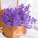 Simulated star bouquet of living room home decoration plastic