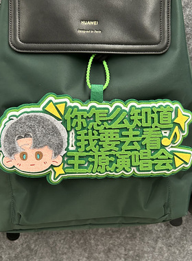 王源周边不织布书包挂件官方包包挂饰人物大头演唱会周边粉丝应援