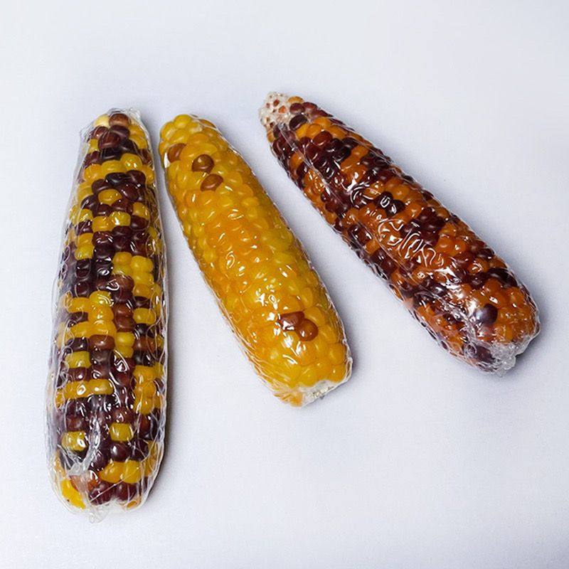 包邮仓鼠磨牙棒小玉米零食小玉米金丝熊花枝鼠兔子龙猫磨牙玉米棒,淘宝优惠券,粉丝福利购,淘宝优惠卷