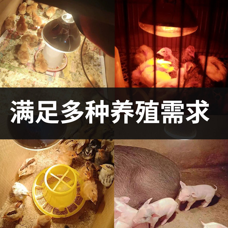 猪用保温灯养殖场专用小鸡育雏保暖设备猪场加温加热烤灯取暖灯泡,淘宝优惠券,粉丝福利购,淘宝优惠卷
