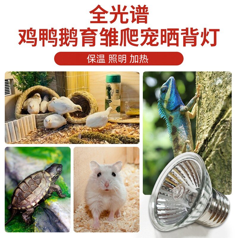 芦丁鸡保温灯自动控温加热取暖小鸡育雏加温灯宠物养殖场专用灯泡,淘宝优惠券,粉丝福利购,淘宝优惠卷