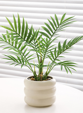 ins小清新桌面仿真绿色植物