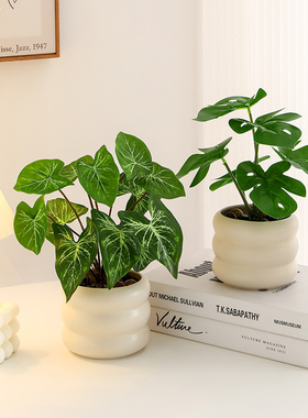 桌面仿真绿植室内办公桌工位植物盆栽造景装饰摆件绿萝家居装饰品