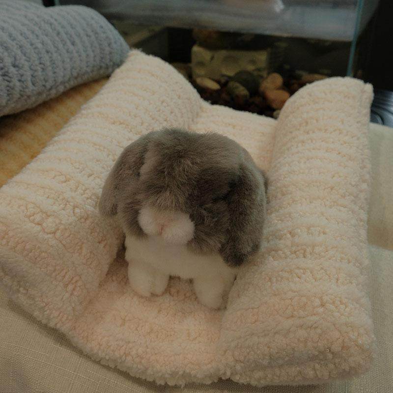 兔子趴趴垫保暖冬天兔子垫子兔子夹夹垫侏儒兔冬季加绒垫垂耳兔垫,淘宝优惠券,粉丝福利购,淘宝优惠卷