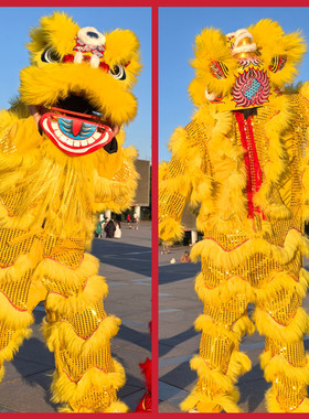 新年新款成人单人舞狮儿童醒狮服