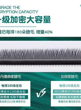 立体动感嫁接睫毛双笙花柔软自然YY型一秒开花不散根BC翘度0.04