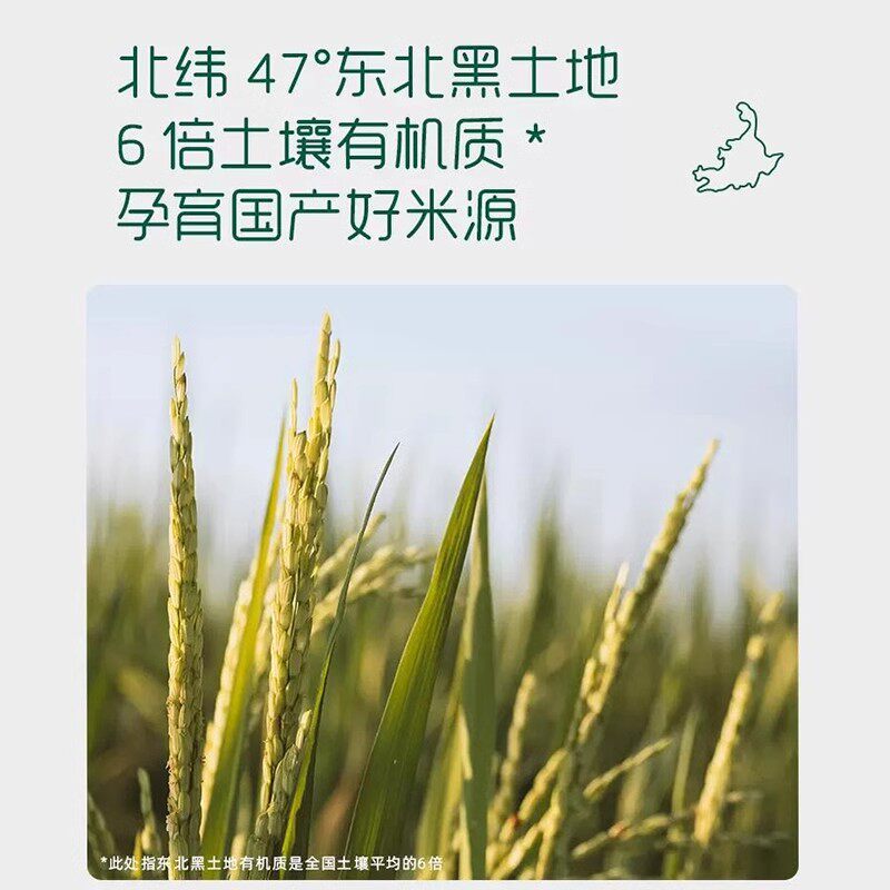  晨驿母婴米粉/米糊/汤粥