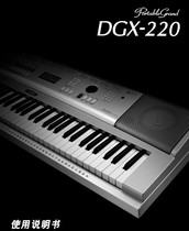 Yamaha DGX 220 YPG 225 Electronic Qin Chinese brochure