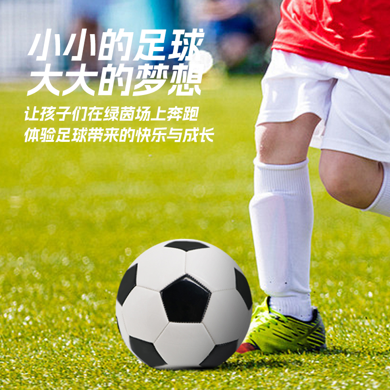 中考专用足球5号中小学生4号儿童2号幼儿3号PU加厚防爆成人标准球 - 图0