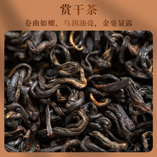 天之红祁门红茶香螺浓香型罐装茶叶正宗金奖纪念特一荣誉茶188g - 图1