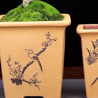 正方形紫砂兰花盆精品陶瓷文竹老桩阳台松柏蝴蝶兰简约古典中国风 - 图1