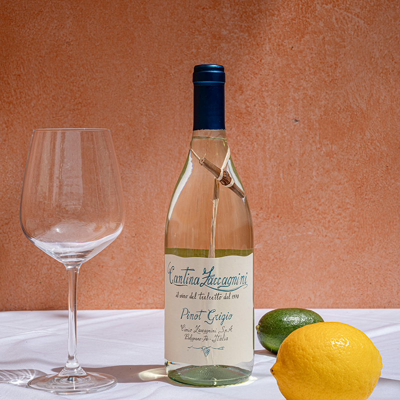 苹果雪梨小白花！意大利名庄进口莎泽卡尼尼树枝灰皮诺干白葡萄酒,淘宝优惠券,粉丝福利购,淘宝优惠卷