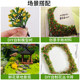 Micro Landscaping Tree Powder Turf Grass Powder