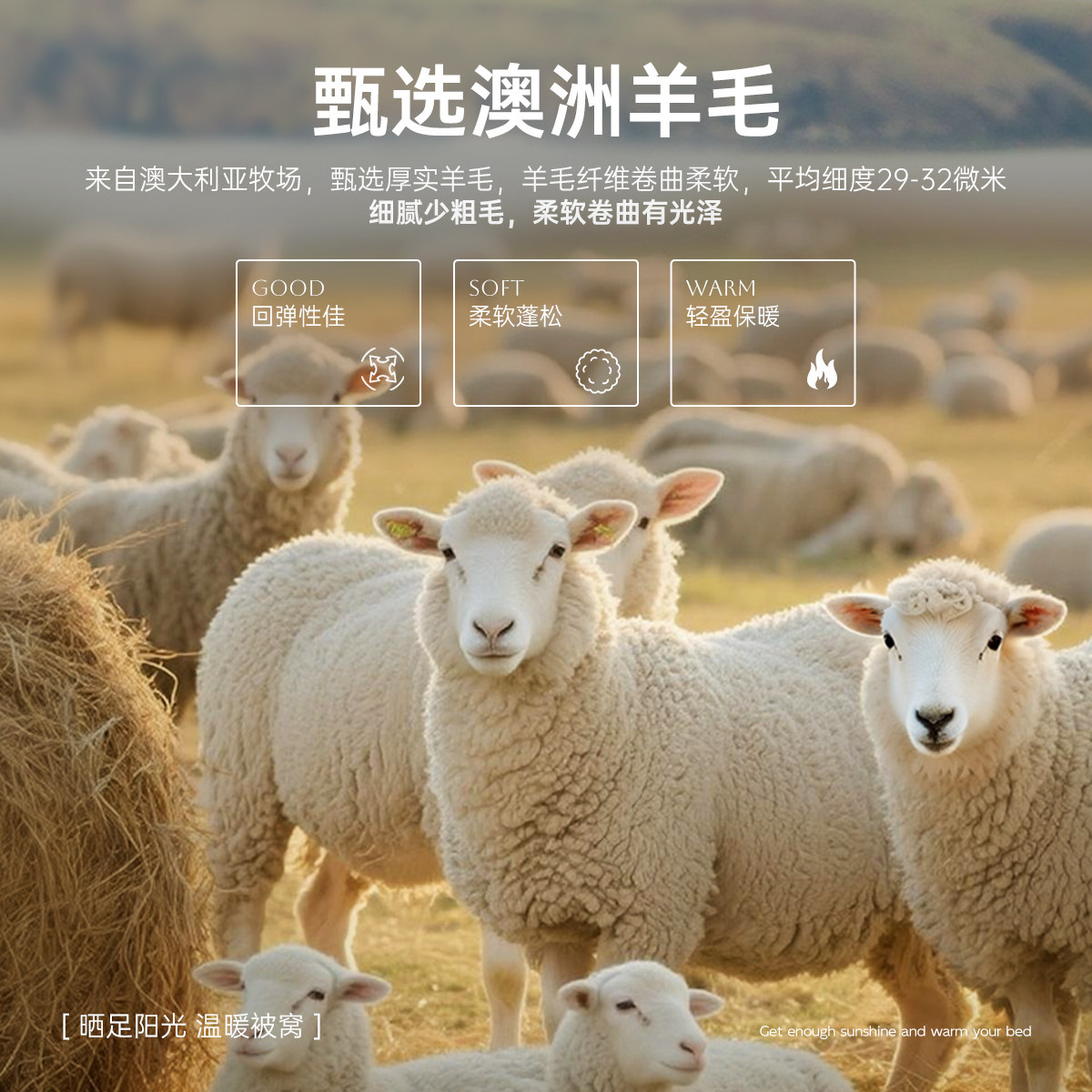 多喜爱羊毛被澳洲进口羊毛被加厚冬被保暖四季被春秋被宿舍被子,淘宝优惠券,粉丝福利购,淘宝优惠卷