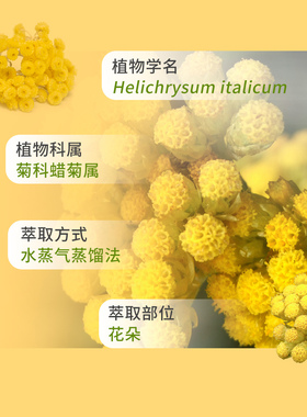 多特瑞美国滋润5滋润精油提升