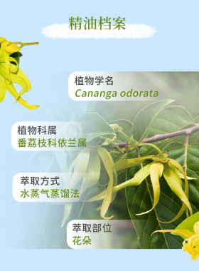 多特瑞美国保湿5年提升魅力精油