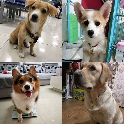 Плетеный колокольчик ручной работы, бесшумное японское ожерелье, милый чокер, домашний питомец, кот