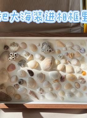 贝壳画相框手工diy贝壳小夜灯材料包海螺标本中空装饰画框10寸