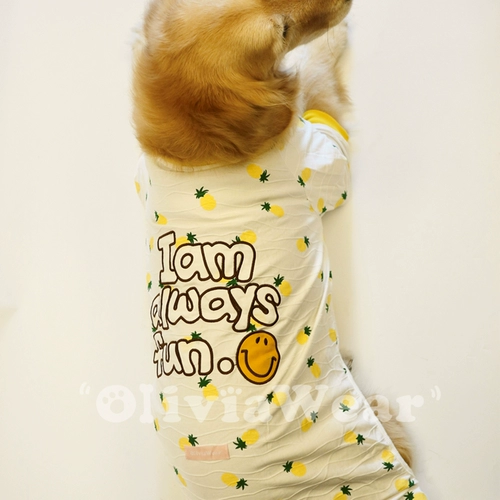 Большая собачья анти -сбоя