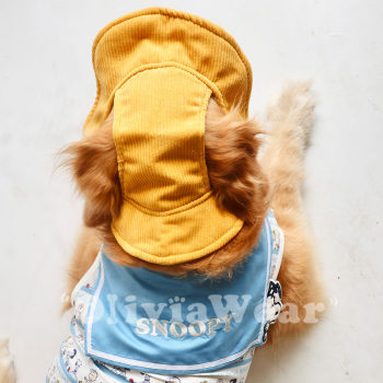 ຄົນອັບເດດ: Puppy Golden Retriever Teddy Corgi Cute Dressup Fisherman Hat Baseball Cap ການປົກປ້ອງສັດລ້ຽງ ຜະລິດຕະພັນໃຫມ່