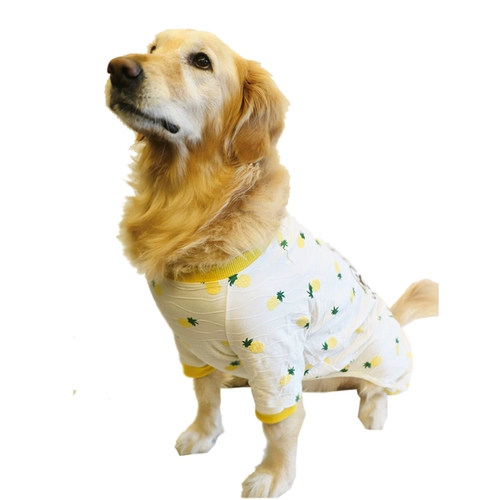 Большая собачья анти -сбоя