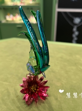 代购SWAROVSKI施华洛世奇食蜜鸟与仙人掌花水晶摆件5675166