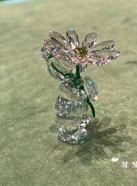 代购SWAROVSKI施华洛世奇 Kris小熊 送上雏菊水晶摆件5675327