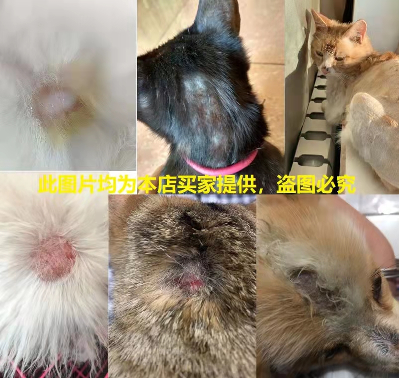 金盾皮特芬喷剂猫咪猫癣专用药猫藓外用药狗狗皮肤病狗狗癣软膏 - 图2