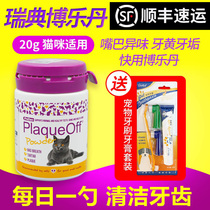 Borletan Dentity Pink Kitty Cat Pooch Teeth Powder Oral Teeth Clean Toothbrushing 20g