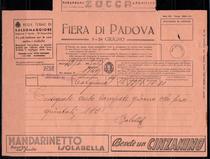 Italian electric newspaper Medical iodine salt magazine subscription to maintain skin to treat eczema psoriasis burns